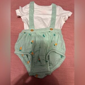 Infant Baby Cat & Jack 2pc Green Carrot Shortalls with White Top